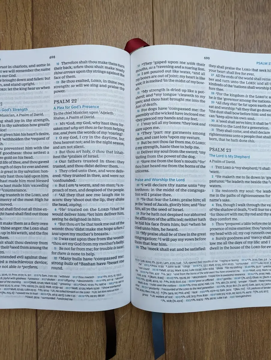 An open Bible at Psalm 23